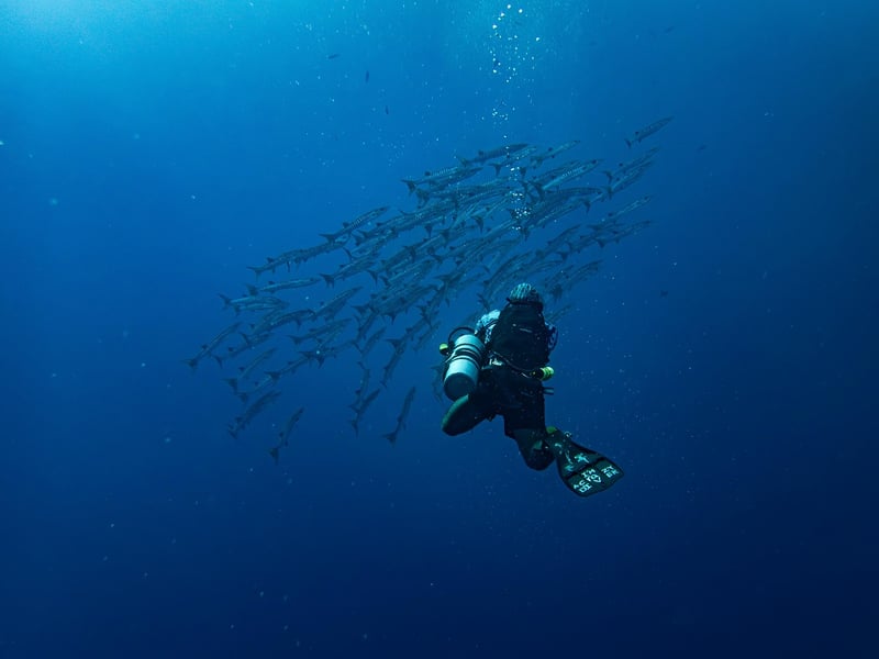 Marine Exploration