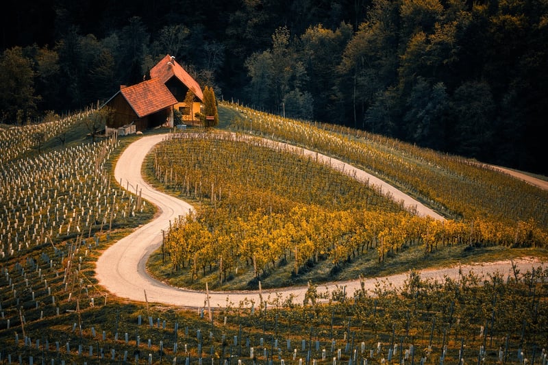 Road trip landscape