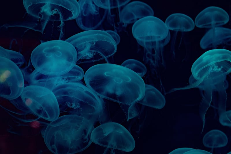 Underwater exploration